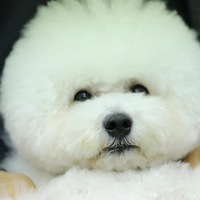 山崎（やまちゃん）