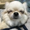 の写真