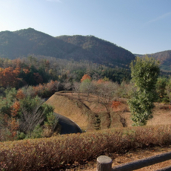 のりのーりのカバー写真