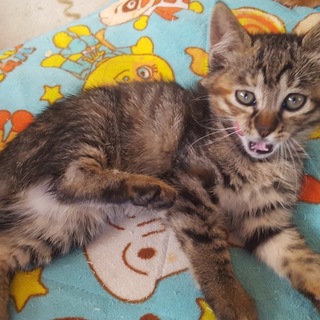 ストップ？♀ もうすぐ、3ヶ月になります 