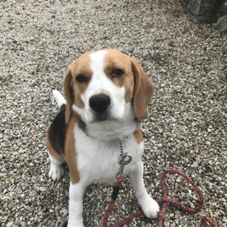 おてんば娘をよろしくお願いします