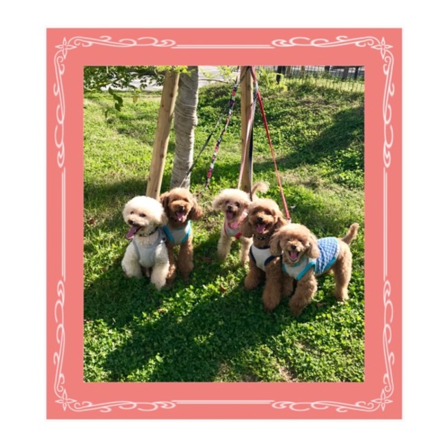 モチャオンのカバー写真