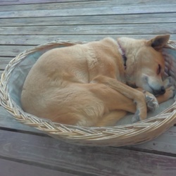 ぽかぽか陽気！