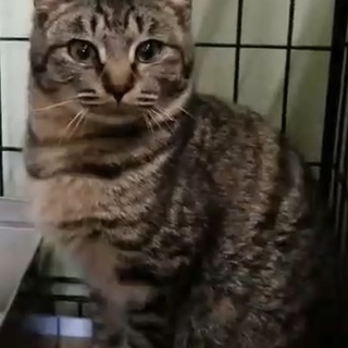 里親様が決まりました♡有難うございました！