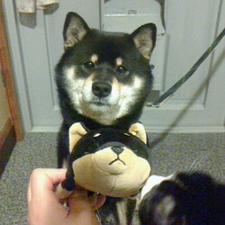 「ふたご？！」サムネイル2