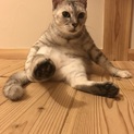 瀕死から復活した子です！
