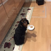ミラン