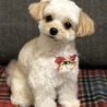 めるのママ さん