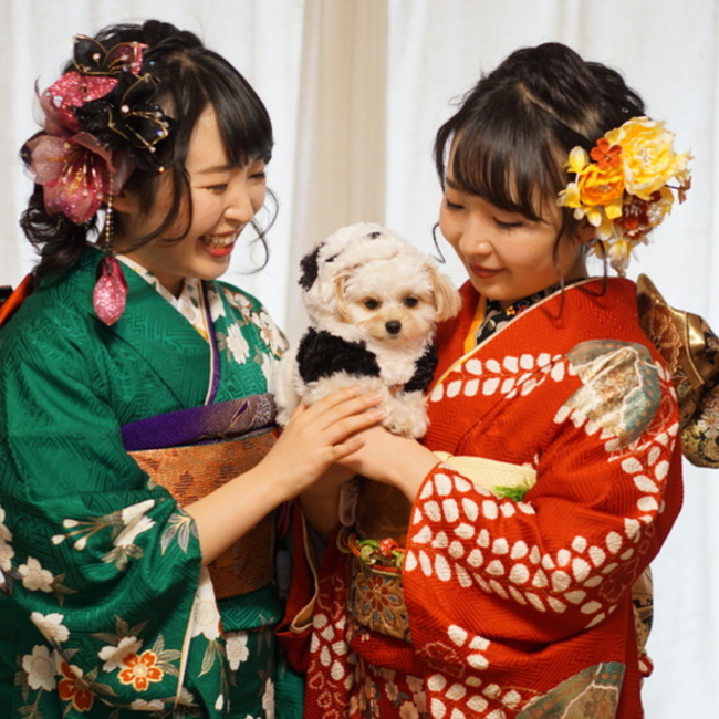 めるのママのカバー写真