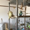 の写真