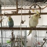 の写真
