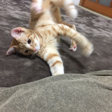 の写真