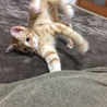 の写真