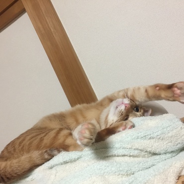 の写真