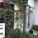 ありがとうございました