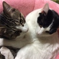 ふじお君とりんどうちゃん