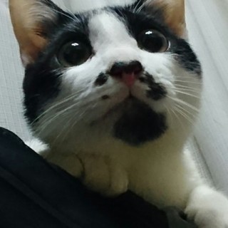 ももくん☆別名男爵♪