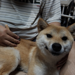 「トライアル最後の日」サムネイル2