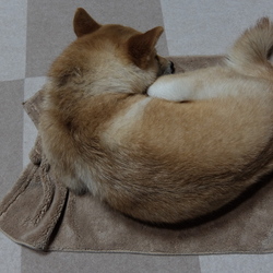 「トライアル最後の日」サムネイル3