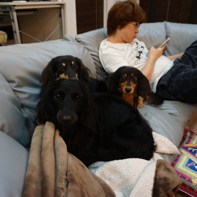 NPO法人アルマ　フアロンママのカバー写真