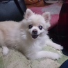 の写真