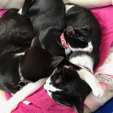 朝から　幸せな三人♪　母も幸せです♪