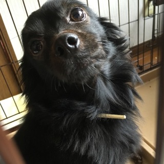 1人じゃない暖かい家庭を