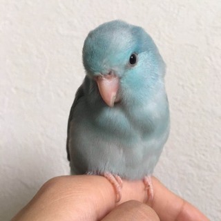 素敵なご縁に恵まれました！ありがとうございます。