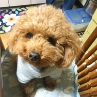 ある