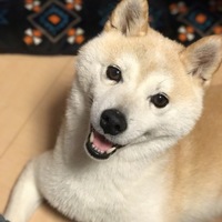 まめ