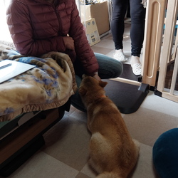 「トライアル終了。正式に我が家の家族に！」サムネイル1