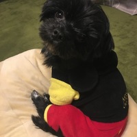 エレ