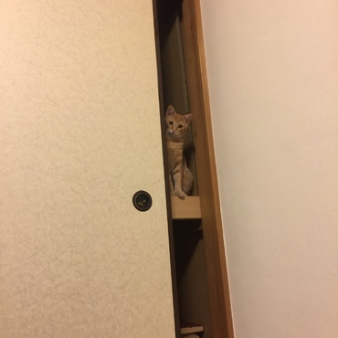 の写真