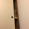 の写真