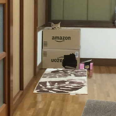 の写真