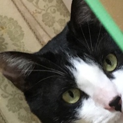 マーニの面目躍如