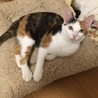 人好き甘えん坊の柚菜ちゃん サムネイル2