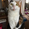 人好き甘えん坊の柚菜ちゃん サムネイル3