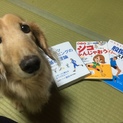 里親募集！