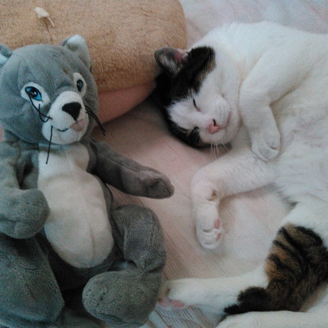 ひさみ0611のカバー写真