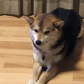 大切にして下さる方
