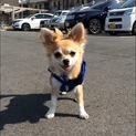 こちらの募集は終了しました