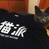 おもち 