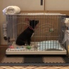 未知の世界であるサークルの外を、中からチェック。