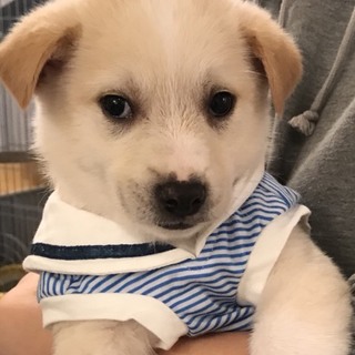 ☆３ 里親さん募集です♫