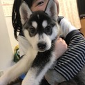 一旦休止します。現在の応募者様まで