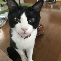 おーめ