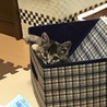 2017.04.17 家族になった日