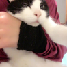 キャンレン