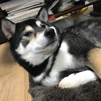 もも